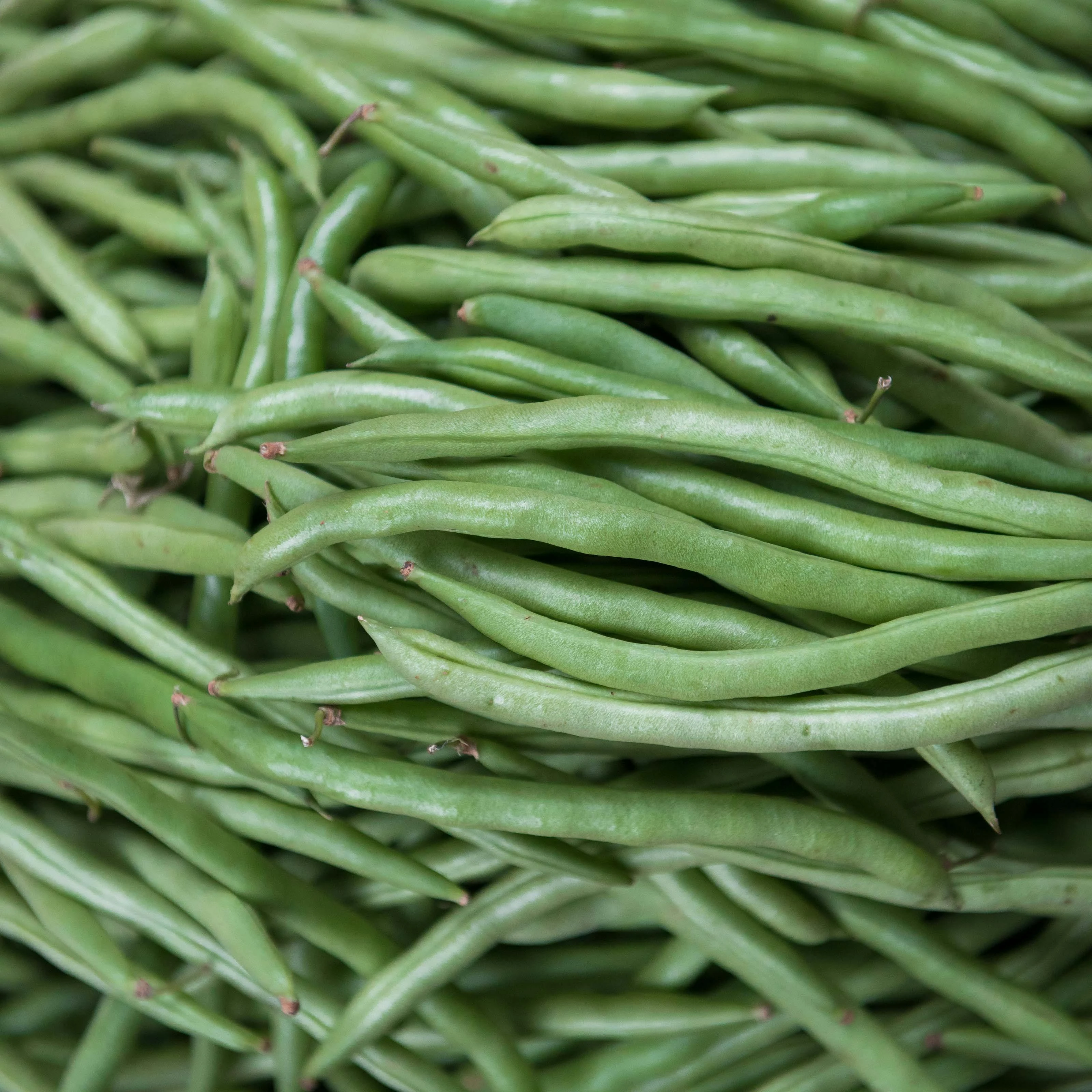 BEANS (500gm)