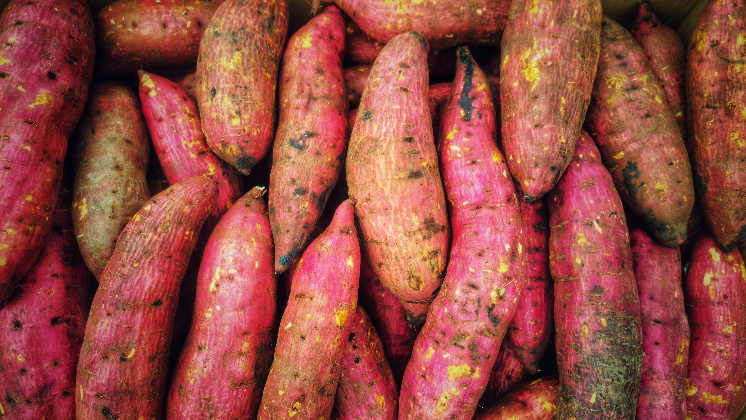 SWEET POTATO SHAKARGANDI (500gm)